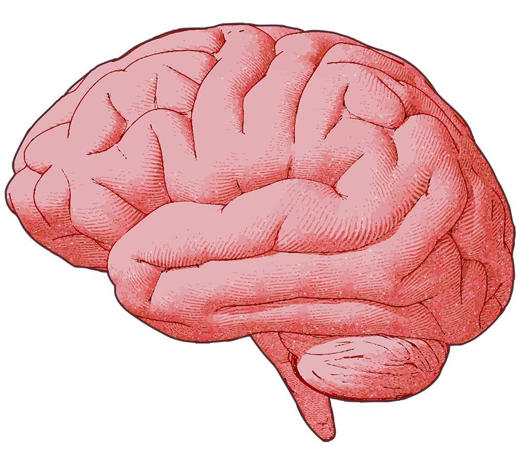 Hjärnan har "kidnappats" vid beroenden